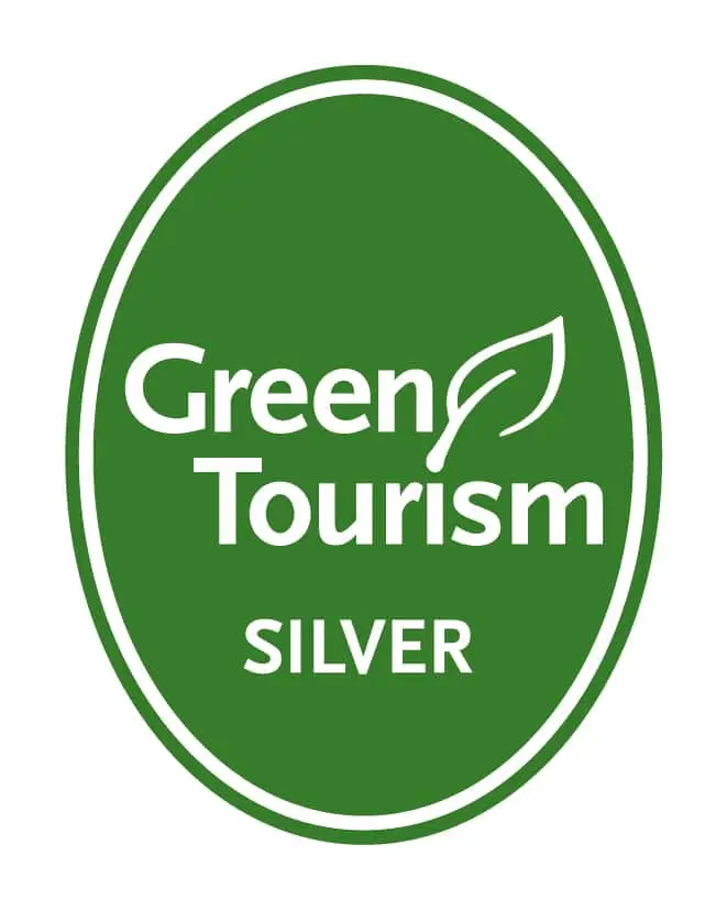 GT generic silver