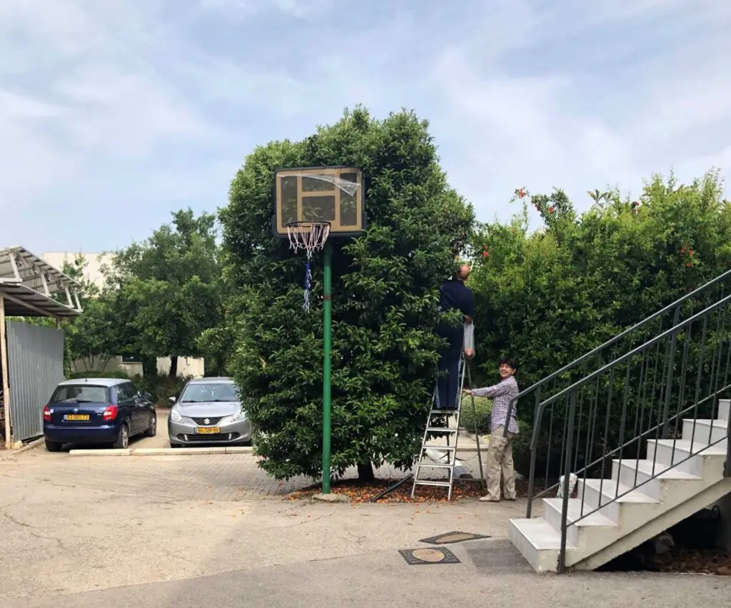 basketball