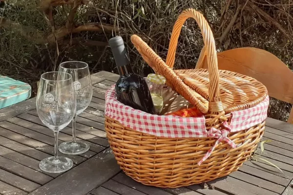 YIFTAHELWINERY