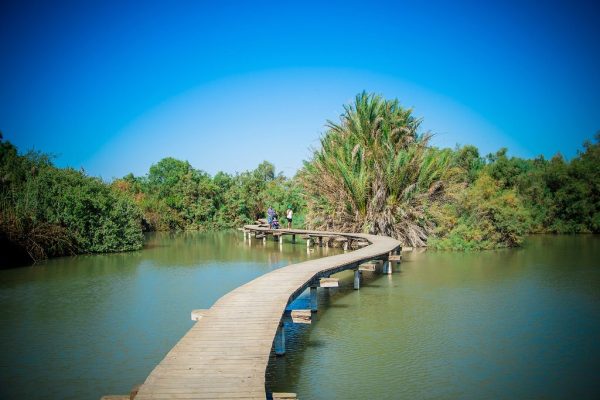 ein afek nature reserve